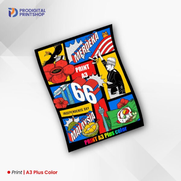 A3 Plus Color