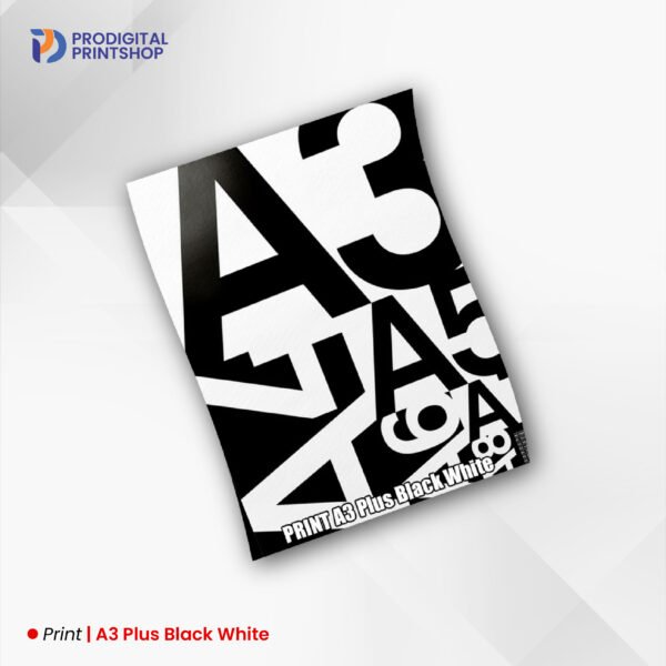 A3 Plus Black White