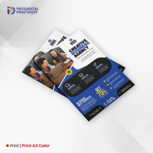 Print A3 Color